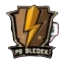 BLEDEX GESING