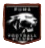 PUMA FC